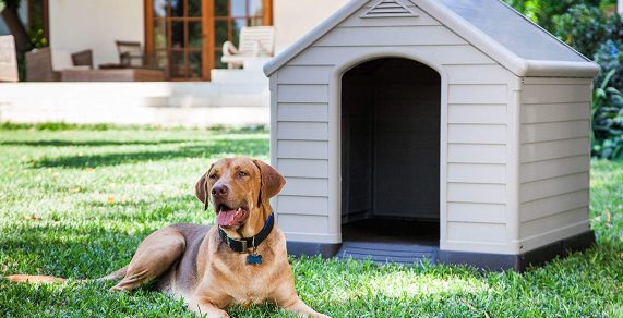 Las casas para perros más vendidas