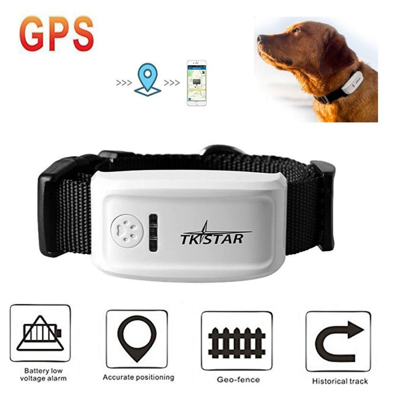 Los mejores GPS para perros