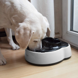 Comederos automáticos para mascotas