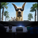 ¿Apasionado del cine? Te decimos qué proyector comprar