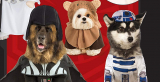 Los mejores disfraces para perro de Star Wars