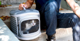 Los mejores transportines para gato
